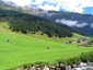 I verdi prati della Stubaital.