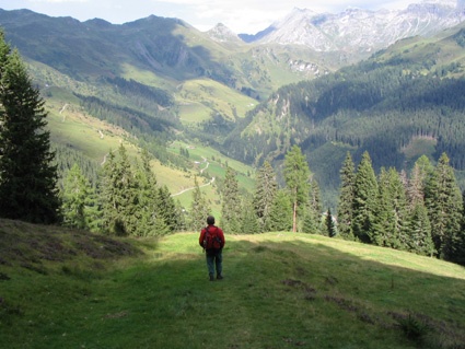 Vista sulla parte alta della val di Navis, da Seapnalm.