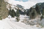 Sulle piste di fondo nei pressi di Navis.