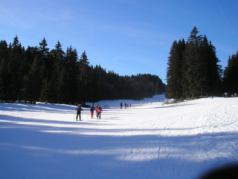 Spesso le piste attraversano boschi di conifere, "les sapins", qui nei pressi di Les Rousses.