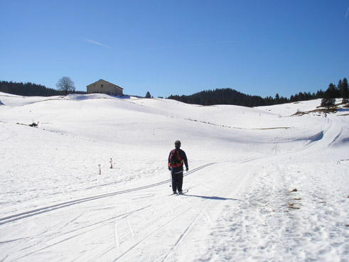 Un ambiente fantastico da percorrere in tranquillit, lungo la pista che porta a La Pesse.