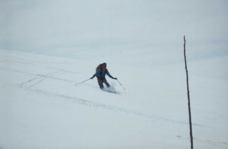 Curve in telemark lungo la discesa dal ghiacciaio Hardangerjokulen.