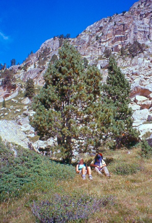 Meritato riposo sotto l'albero, dopo la lunga discesa dal Coll de Monestero.