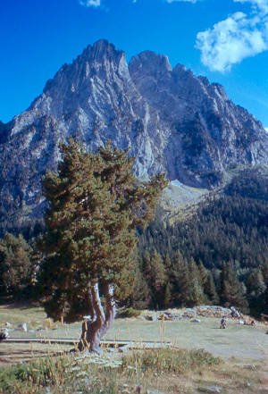 Il Petit ed il Gran Encantat, visti dall'Estany de Sant Maurici.