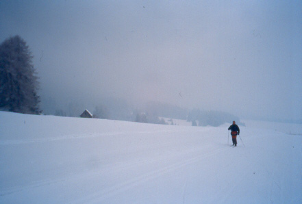 Val Pusteria, sulla pista di fondo valle da Dobbiaco verso S.Candido.