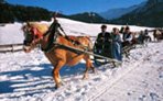 Val Pusteria (Alto Adige): la regina dello sci di fondo