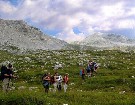 In salita verso il rifugio Sebastiani.