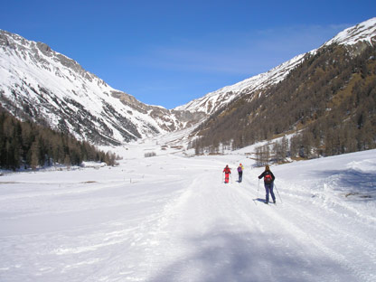 In salita nella Valle di Slingia (verso il rifugio Sesvenna).